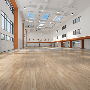 modern gymnasium 3d model