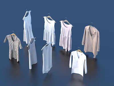 Various Women Clothes Hanging On Hangers With Light Colored Dresses And Shirts 3d model