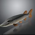 3D Fish Model With Gray Body Orange Fins And Tail Long Snout And Yellow Eyes