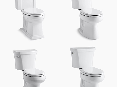 Kohler Toilet Combination Toilet 3d model