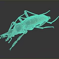 Shiny Green And Red Beetle With Long Red Legs On Dark Background