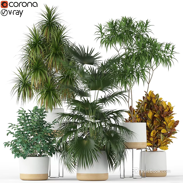 Various Green Plant Decorative Ornament Combination With White Pots And Lush Foliage 3d model 