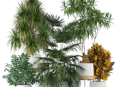 Various Green Plant Decorative Ornament Combination With White Pots And Lush Foliage 3d model