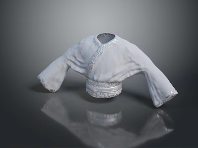 Traditional White Chinese Blouse With Intricate Embroidery Long Sleeves And Decorative Patterns 3d model