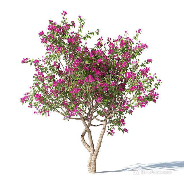 Lush Tree with Pink Flowers and Green Leaves on Twisted Trunk 3d model 