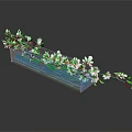 Clear Rectangular Vase With White Flowers And Green Leaves On Dark Reflective Surface