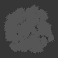 Two Lush Arbor Trees With Vibrant Green Foliage And Sturdy Brown Trunks