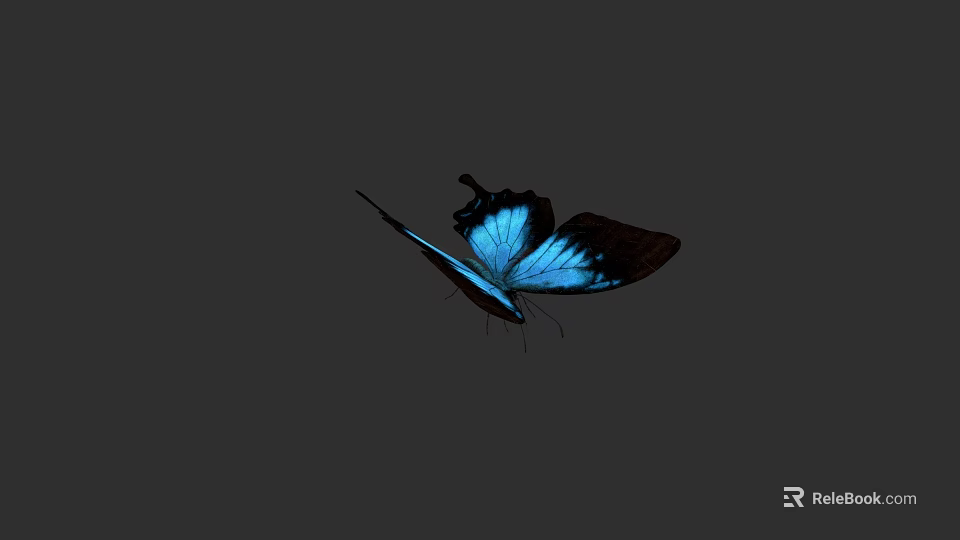 Stunning Blue Butterfly With Dark Wing Tips Flying In Mid Air 3d model 
