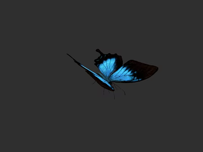 Stunning Blue Butterfly With Dark Wing Tips Flying In Mid Air 3d model