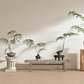 Indoor Decorative Bonsai Potted Plants with Ceramic Pots on Wooden Stands and Stone Bases