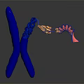 Innovative Medical Device With Blue X Shaped Structure And Helical Chain For Molecular Research
