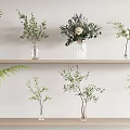 Glass Vases With Green Plants And Decorative Flowers On Wooden Shelf