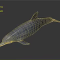 Detailed Silver Dolphin With Shiny Smooth Skin On Dark Reflective Surface