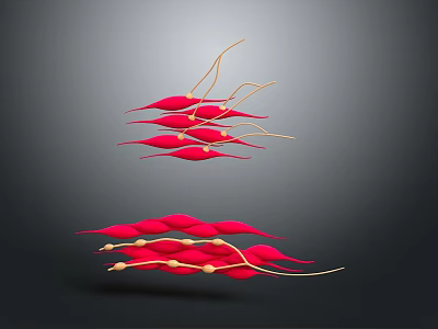 Red Seed Like Structures With Yellow Filaments Floating On Gray Background 3d model