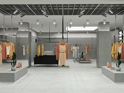 Modern Clothing Store Interior With Hanging Clothes Mirrors Lighting And Cactus 3d model