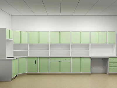 Modern Examination Room Interior Design With Green Cabinets Shelves And Workbench 3d model