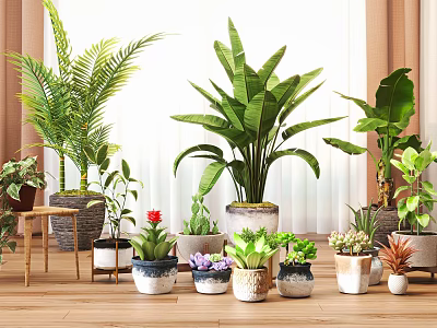 Indoor Potted Plants with Broad Leaf Fern and Tropical Green Foliage in Ceramic Planters 3d model