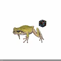 Green Frog Next to Colorful Rubik's Cube on Gray Background