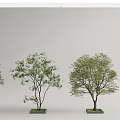 Modern tree pool landscape tree courtyard tree modeling tree cluster arbor 3d model