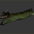 Lush Green Moss Plant Growing On Weathered Wooden Branch With Dark Background