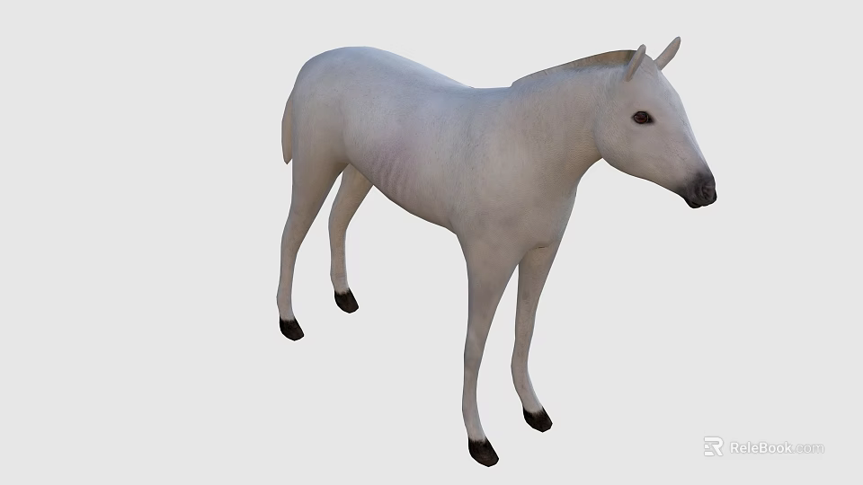 Realistic White Horse With Brown Mane And Black Hooves Standing 3d model 