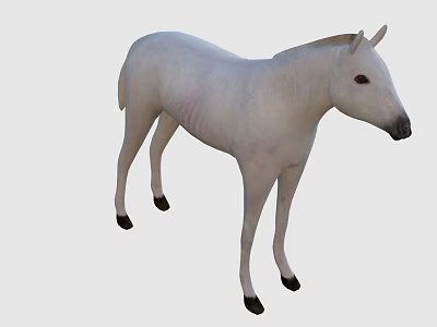 Realistic White Horse With Brown Mane And Black Hooves Standing 3d model