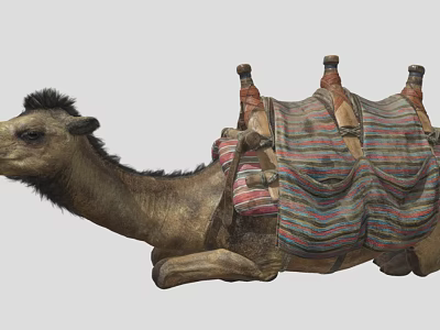 Lying Down Camel With Colorful Striped Blanket And Decorative Saddle Gear 3d model