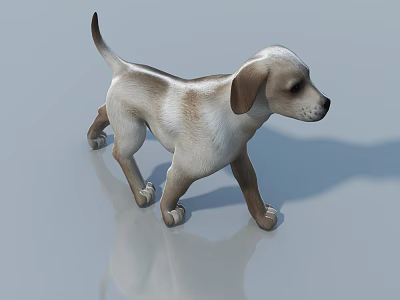 Brown And White Reptile Standing On Shiny Surface With Shadow Reflection 3d model