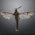 Macro View of Moth with Transparent Wings Brown Patterns Slender Body and Long Antennae
