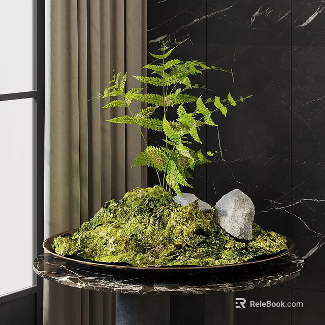 Lush Bonsai Plant With Green Moss Fern And Stone In Tray On Dark Wall 3d model 