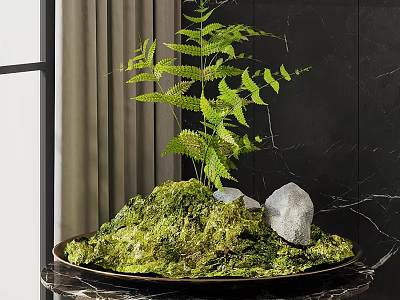 Lush Bonsai Plant With Green Moss Fern And Stone In Tray On Dark Wall 3d model