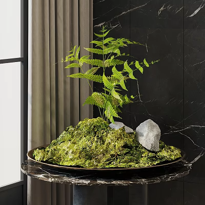 Lush Bonsai Plant With Green Moss Fern And Stone In Tray On Dark Wall 3d model