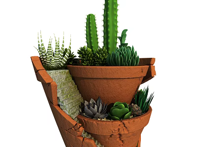 Decorative Bonsai Potted Plants in Broken Ceramic Pot with Succulents Cactus and Greenery 3d model