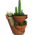 Decorative Bonsai Potted Plants in Broken Ceramic Pot with Succulents Cactus and Greenery