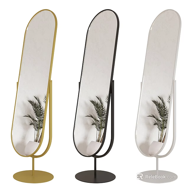 Floor Standing Mirrors With Gold Black White Frames And Plant Reflection 3d model