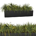 Decorative Black Rectangular Planter With Lush Green Grass Bonsai Plants Design 3d model
