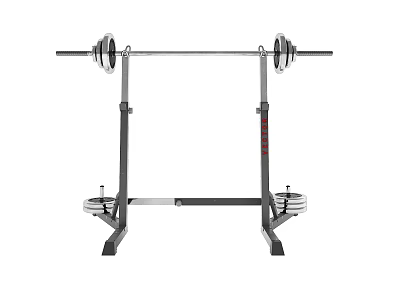 Sturdy Barbell Rack with Weight Plates for Home Gym Strength Training 3d model
