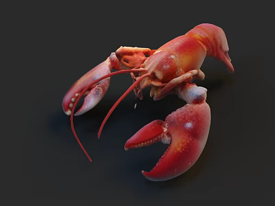 3D Rendered Red Lobster With Large Claws And Long Antennae On Dark Background 3d model