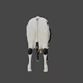 Realistic Black and White Spotted Cow 3D Model Standing Isolated on Gray Background
