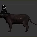 Adorable Brown Dog Wearing Black Wizard Hat With Star Patterns On Dark Background 3d model