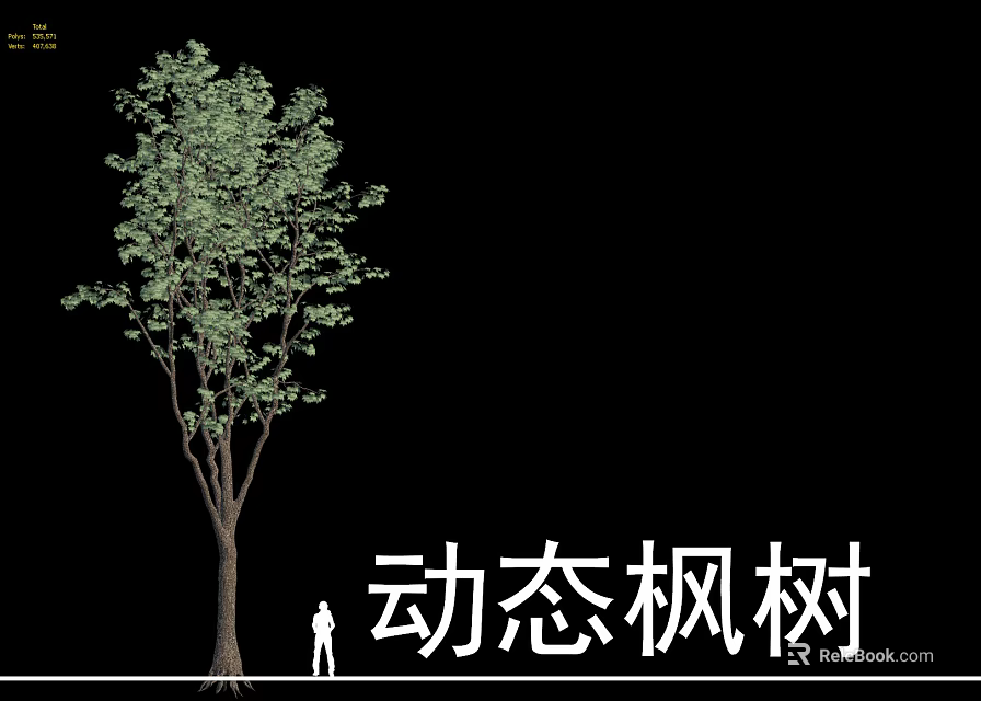 Dynamic Deciduous Maple Tree with Lush Green Foliage and Human Figure for Scale 3d model 