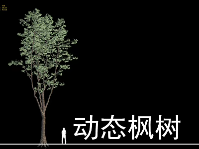 Dynamic Deciduous Maple Tree with Lush Green Foliage and Human Figure for Scale 3d model