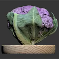 Fresh Purple Cauliflower with Green Leaves Displayed on Wooden Round Board