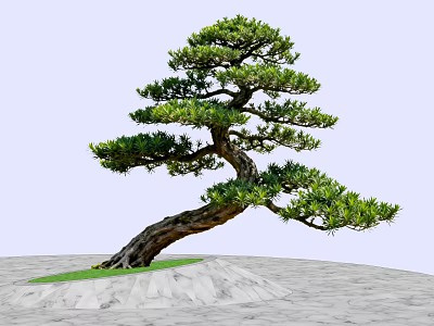 Bonsai Arbor with Curved Trunk and Lush Foliage on Green Grass and Light Colored Ground 3d model
