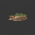 Modern Terrain Model With Rocky Formations And Lush Green Vegetation Details