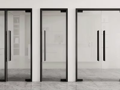 Modern Double Doors With Glass Panels And Black Frame For Interior Design 3d model