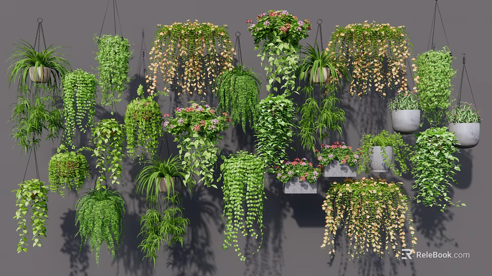 Lush Green Hanging Basket Plants With Various Trailing Vines And Decorative Foliage 3d model 