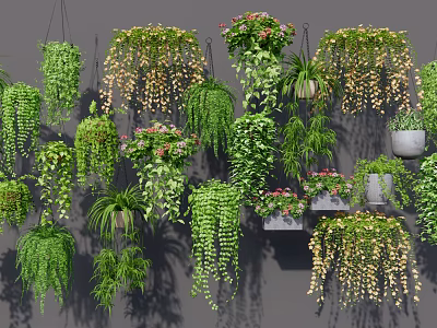Lush Green Hanging Basket Plants With Various Trailing Vines And Decorative Foliage 3d model