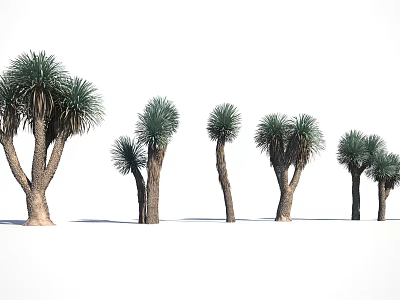 Arbor Trees With Diverse Sizes And Natural Growth Patterns In Row 3d model