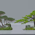Graceful Pine Trees With Rocks And Greenery By Calm Water Surface 3d model